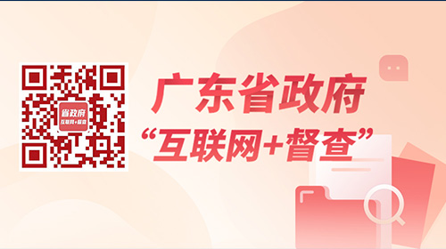 廣東省政府“互聯網+督查”平臺